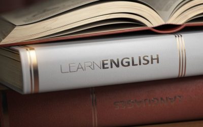 Słówka czy gramatyka? Od czego zacząć naukę języka