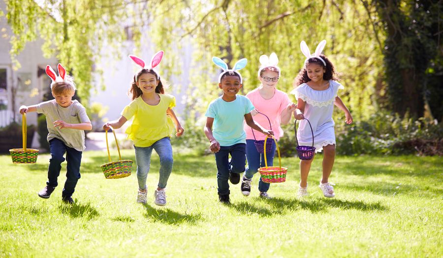 Eggs hunt